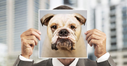 Geweld agressie intimidatie werk personeel